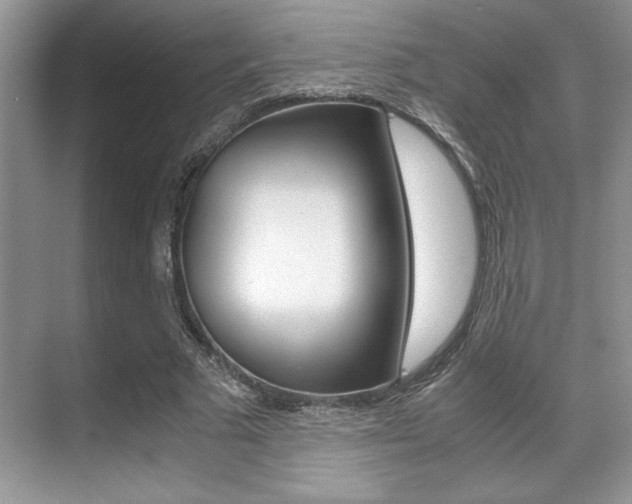 X0000071900681200607070920