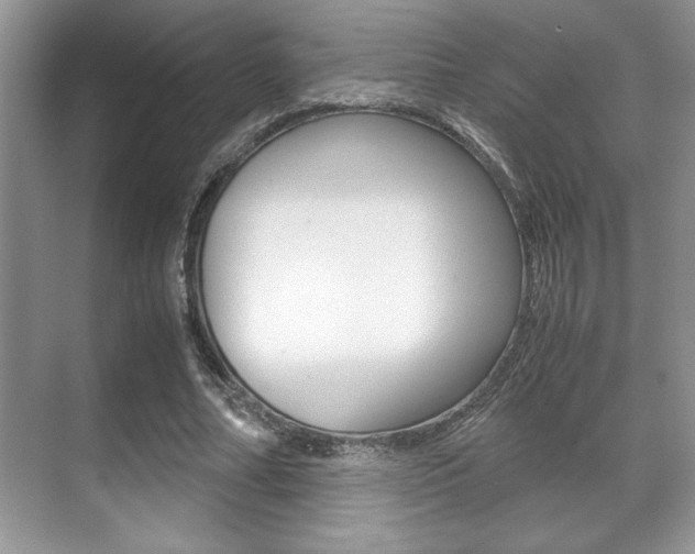 X0000071900682200607070920