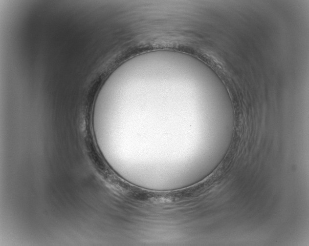 X0000071900687200607070920