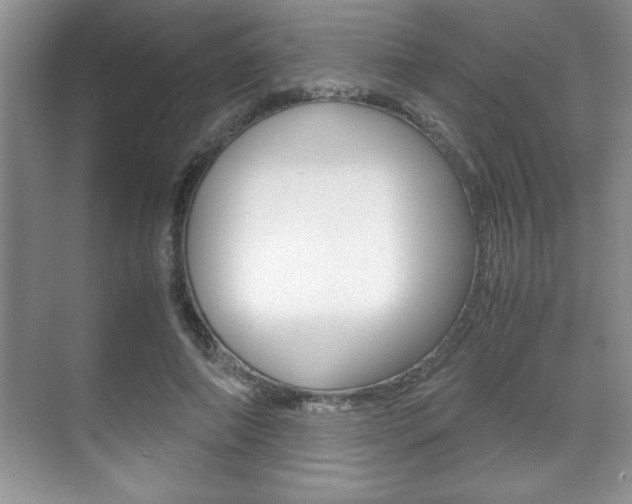 X0000071900690200607070920
