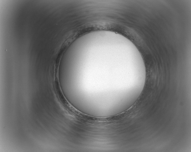 X0000071900694200607070920