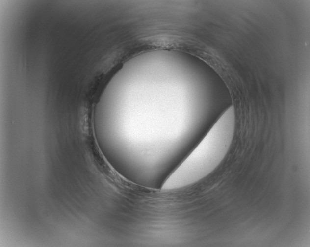 X0000071900696200607070920