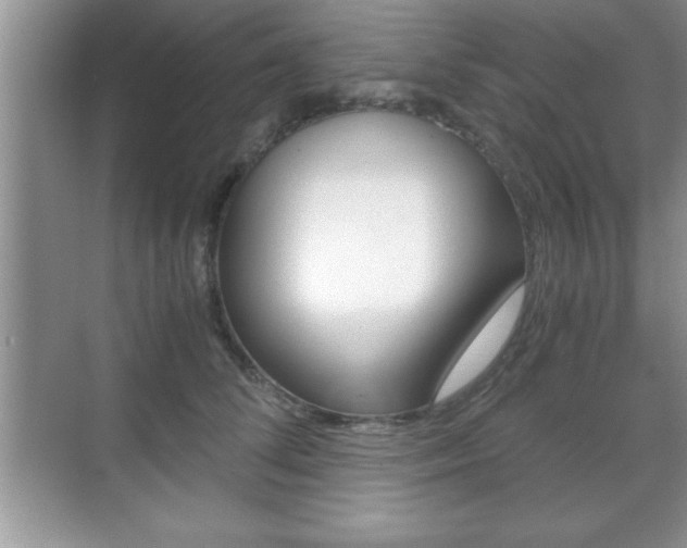 X0000071900708200607070919