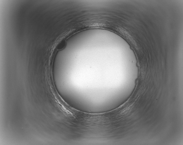 X0000071900721200607070918