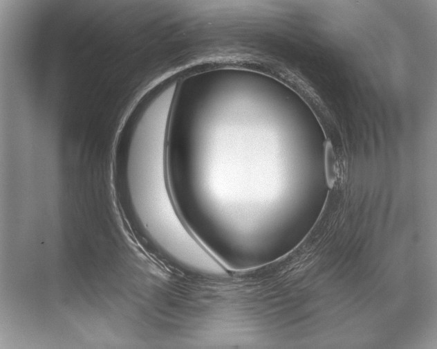 X0000071900724200607070918