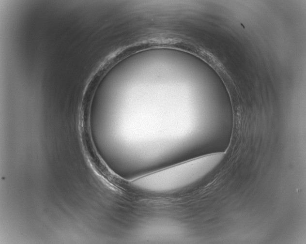 X0000071900726200607070918