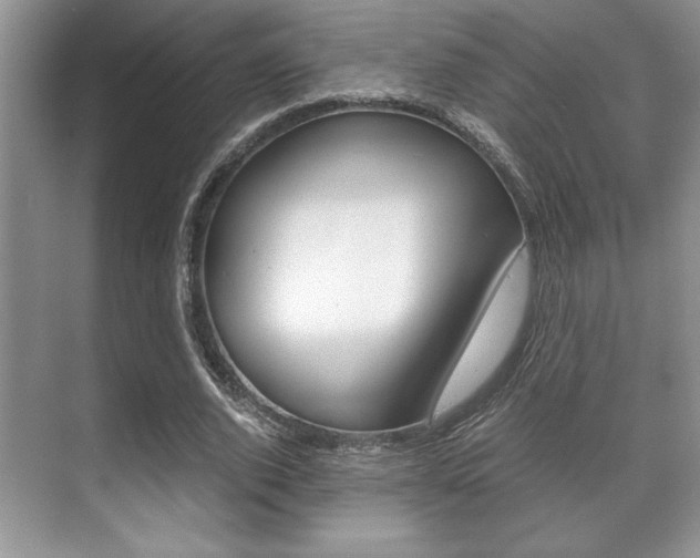 X0000071900728200607070918