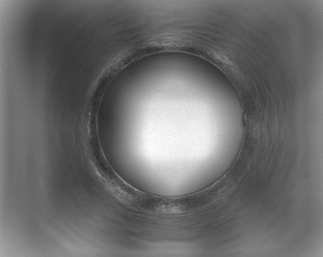 X0000071900735200607070919