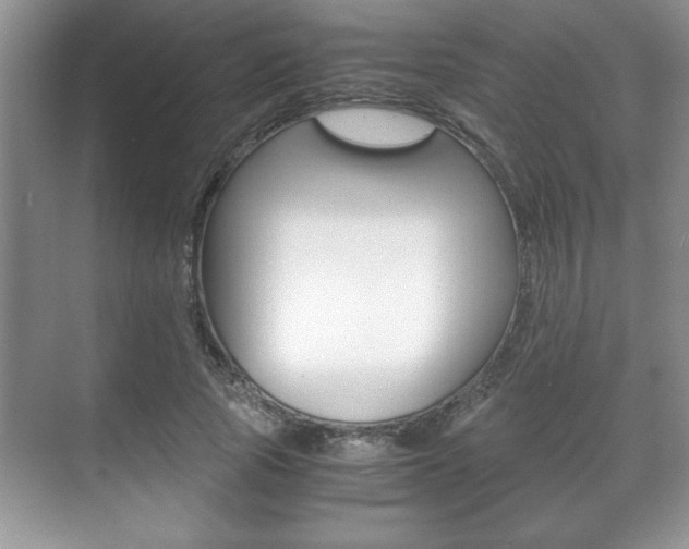 X0000071900737200607070919