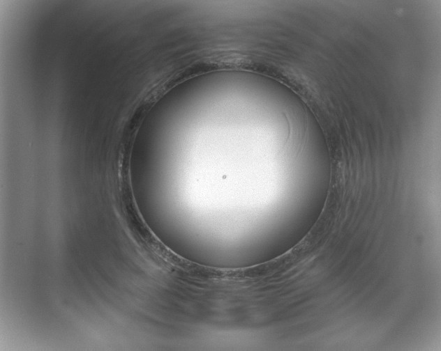 X0000071900739200607070919