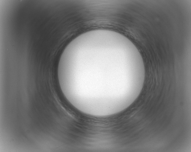 X0000071900744200607070919
