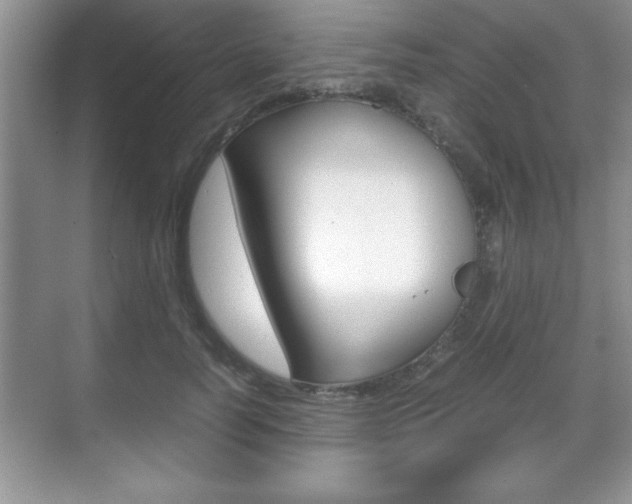 X0000071900746200607070919