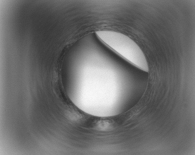 X0000071900751200607070919