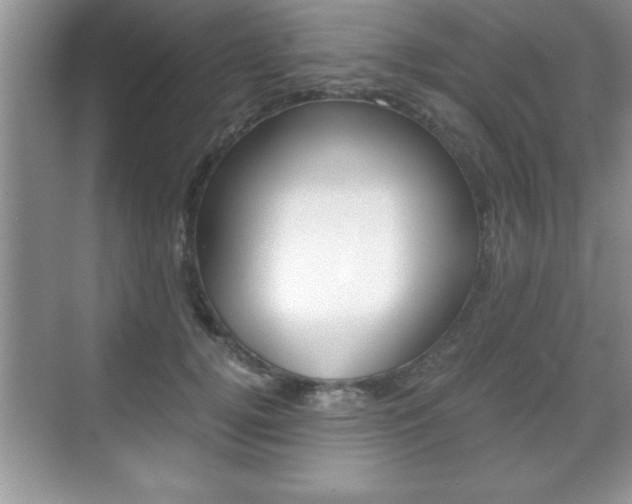 X0000071900752200607070919