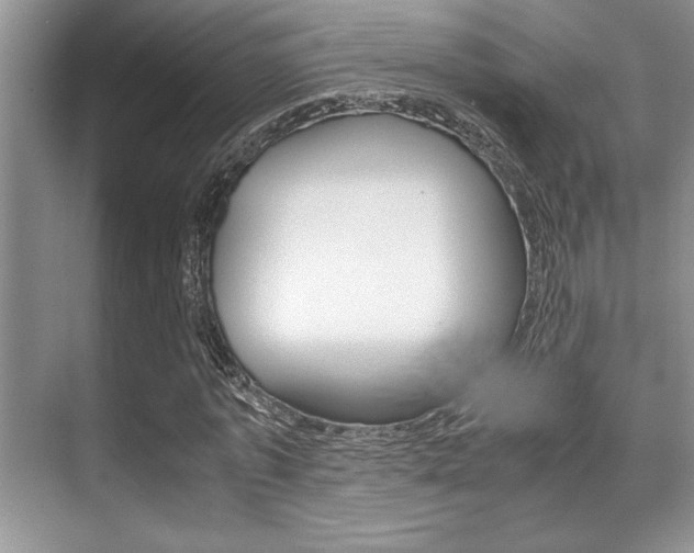 X0000071900773200607070918