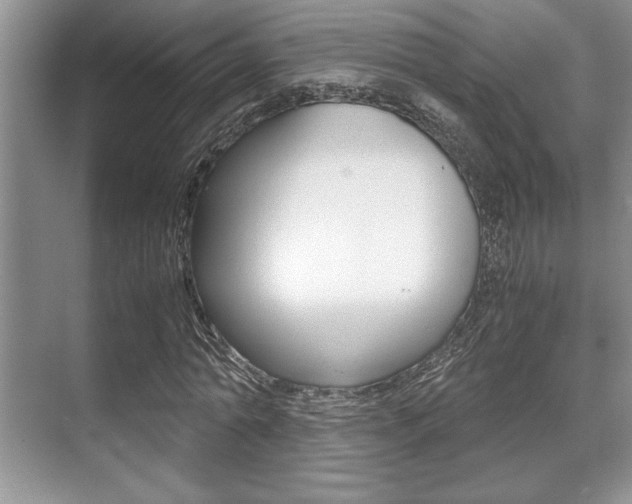 X0000071900774200607070918