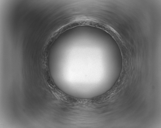X0000071900775200607070918