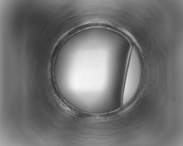 X0000071900783200607070918