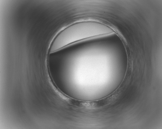 X0000071900805200607070918
