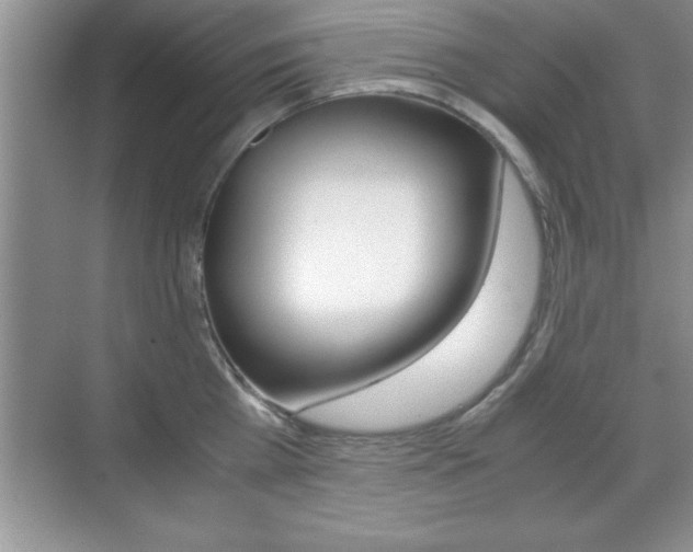 X0000071900809200607070918