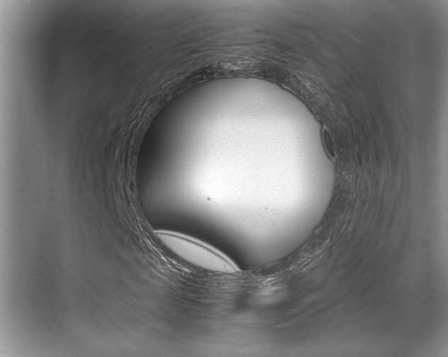 X0000071900817200607070917