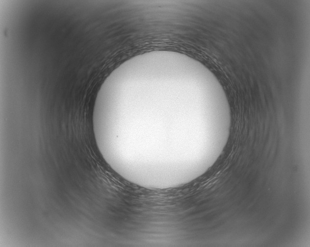 X0000071900818200607070917