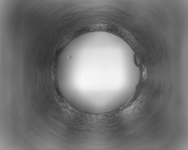 X0000071900819200607070917