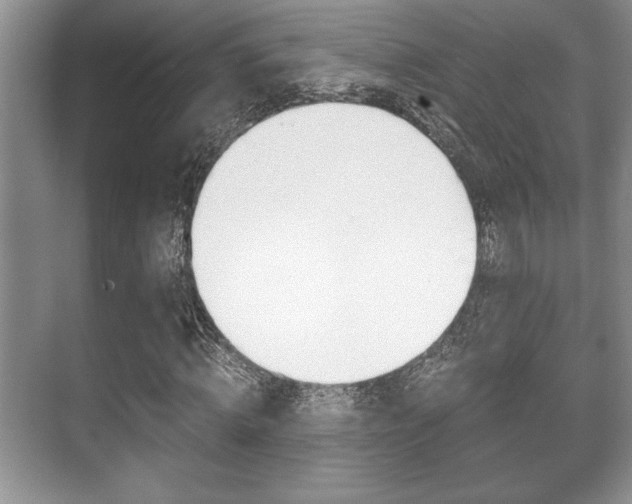 X0000071900820200607070917