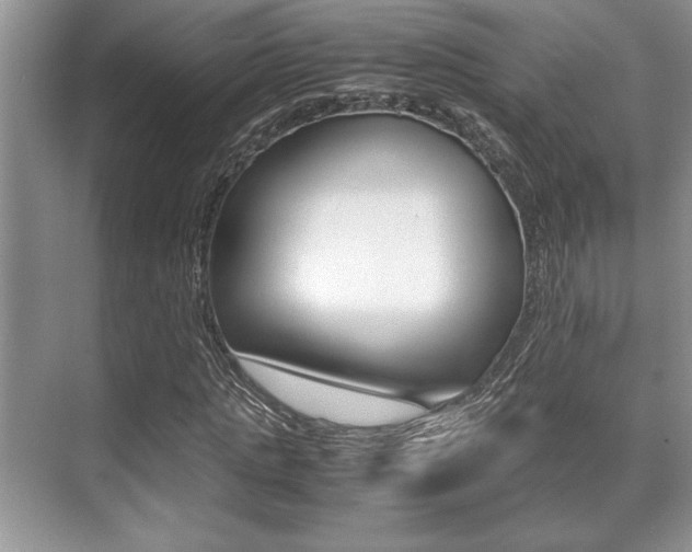 X0000071900821200607070917