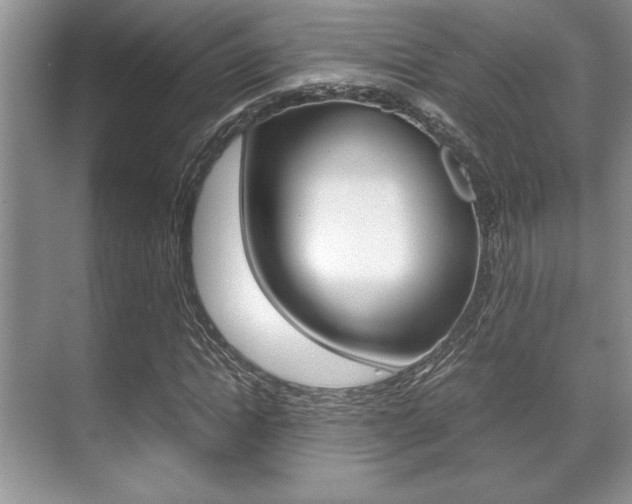 X0000071900822200607070917