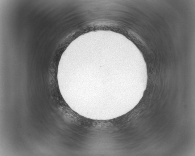 X0000071900824200607070917