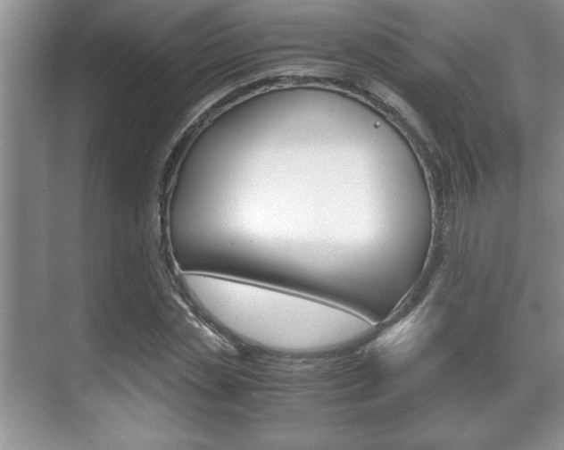X0000071900829200607070917