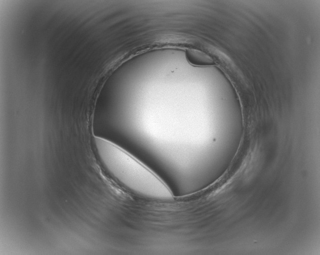 X0000071900833200607070917