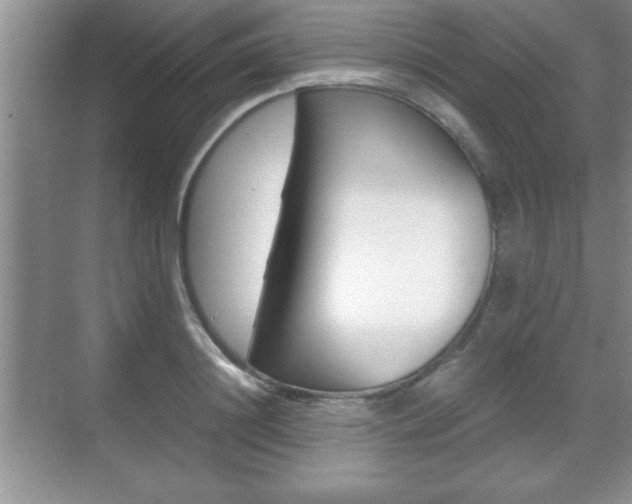 X0000071900844200607070917