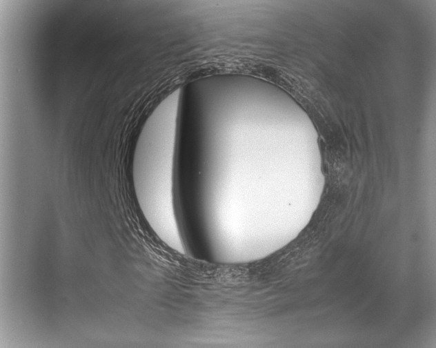 X0000071900865200607070917