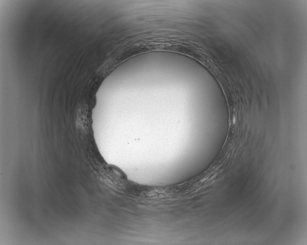 X0000071900867200607070917