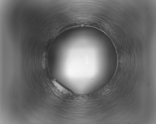 X0000071900868200607070917