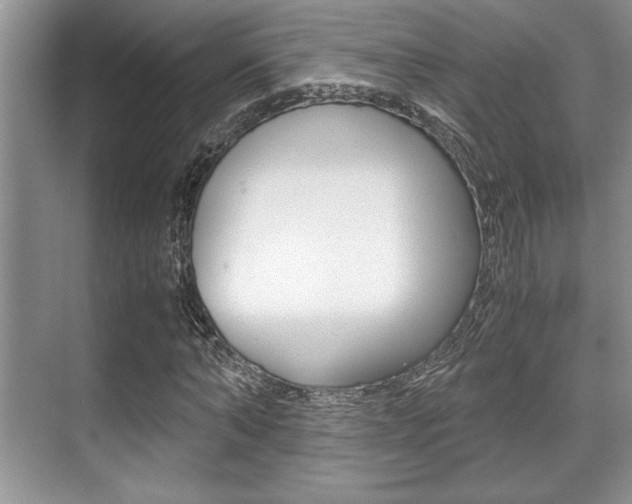 X0000071900870200607070917