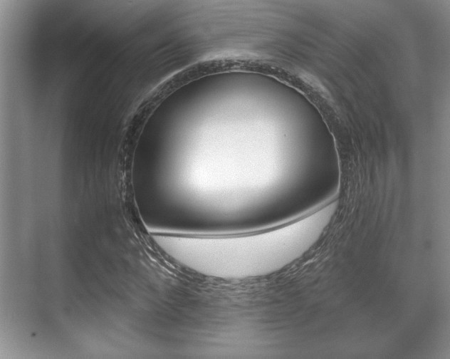 X0000071900872200607070917