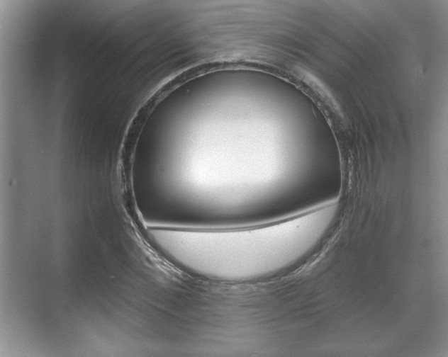 X0000071900876200607070916