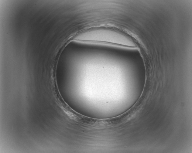 X0000071900881200607070916