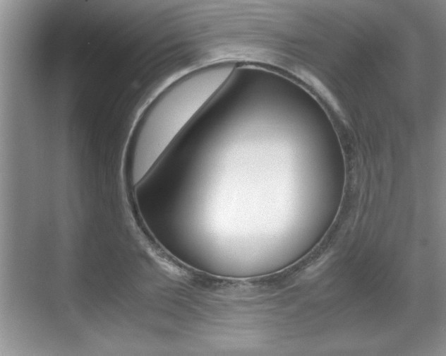 X0000071900885200607070916