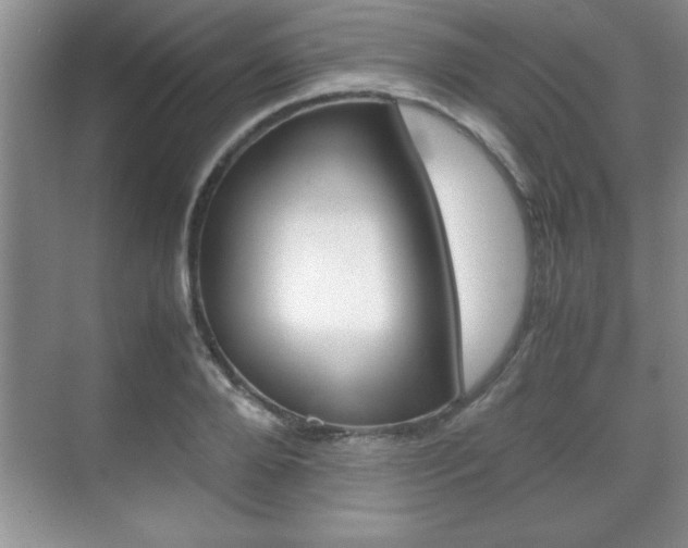 X0000071900888200607070916