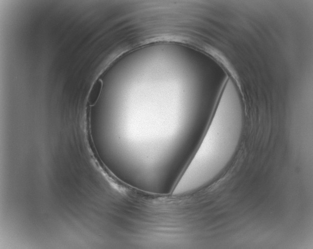 X0000071900898200607070916