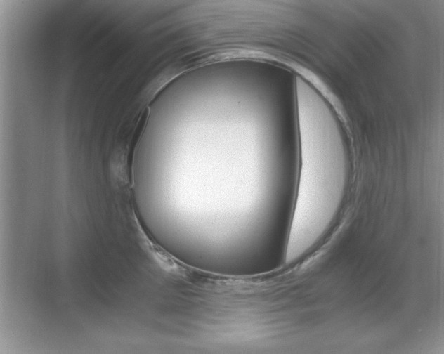 X0000071900905200607070916