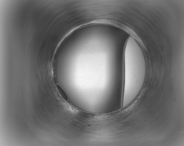 X0000071900908200607070916