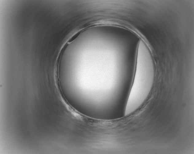 X0000071900909200607070916