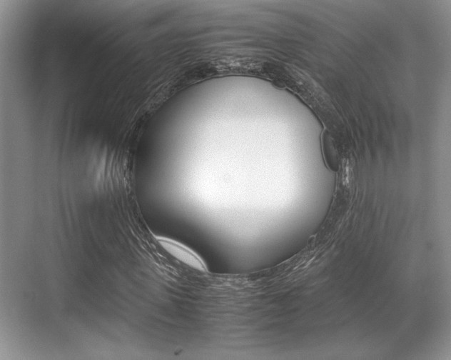 X0000071900915200607070915