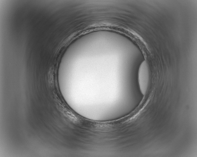 X0000071900921200607070915