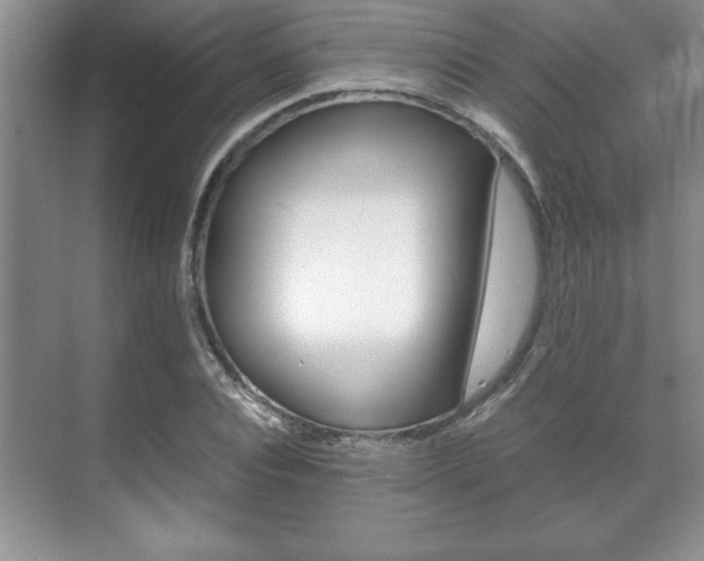 X0000071900928200607070915